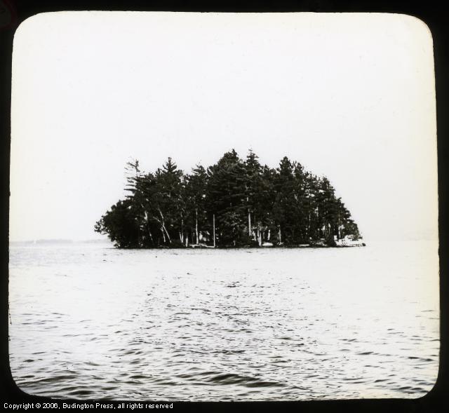 Lone Island
